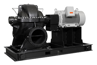 Насосы двустороннего входа